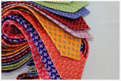 Printed Silk Ties